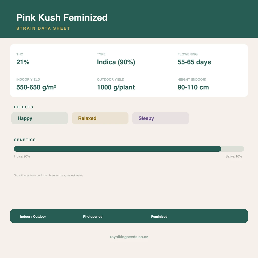 Pink Kush 90% indica / 10% sativa flower with visible trichomes