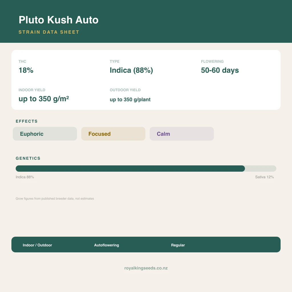 Pluto Kush 88% indica / 12% sativa flower with visible trichomes