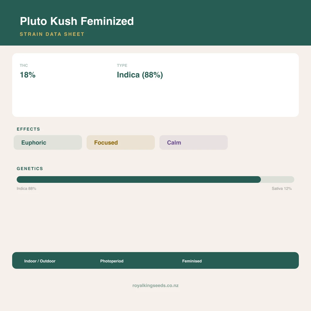 Pluto Kush 88% indica / 12% sativa flower with visible trichomes