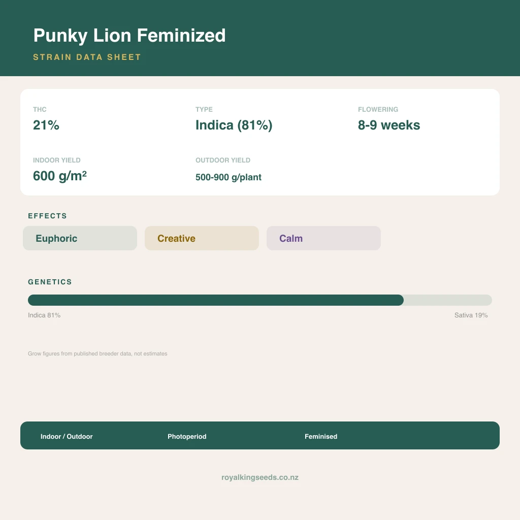 Punky Lion 81% indica / 19% sativa flower with visible trichomes