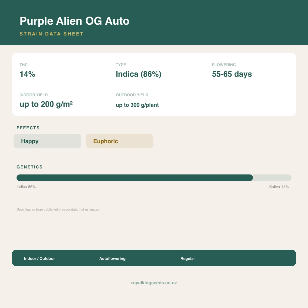 Purple Alien OG 86% indica / 14% sativa flower with visible trichomes
