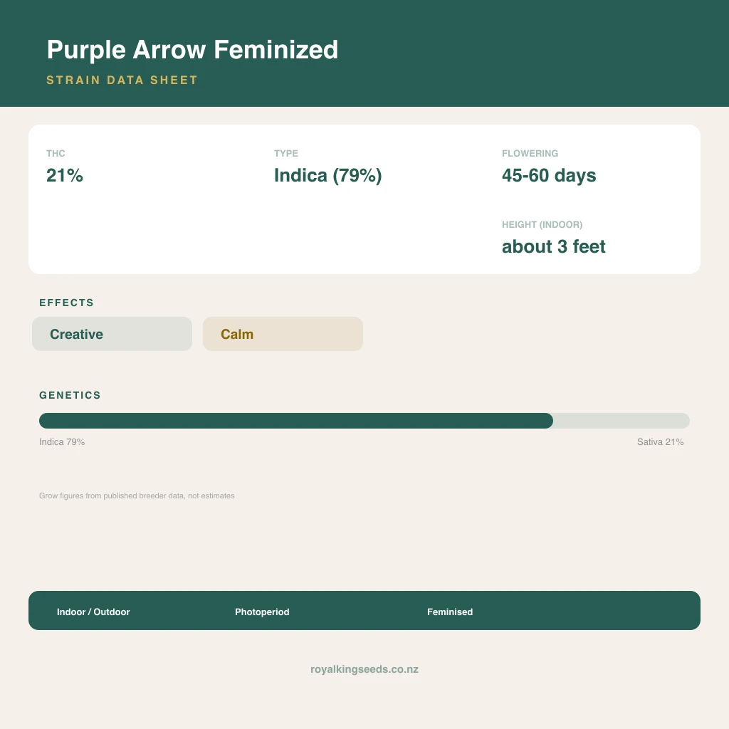 Purple Arrow 79% indica / 21% sativa flower with visible trichomes