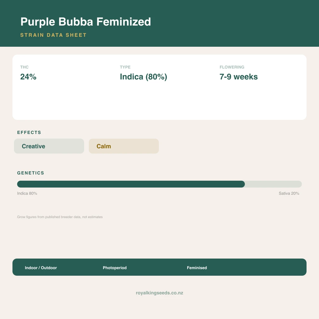Purple Bubba 80% indica / 20% sativa flower with visible trichomes