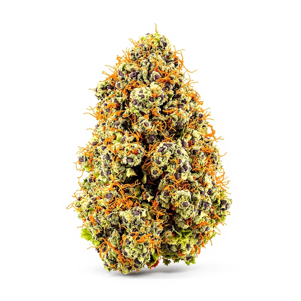 Purple Chemdawg 71% indica / 29% sativa flower with visible trichomes