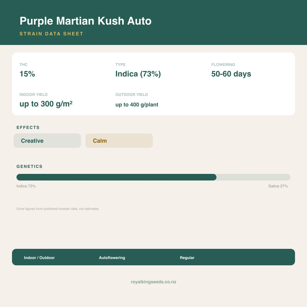 Purple Martian Kush 73% indica / 27% sativa flower with visible trichomes