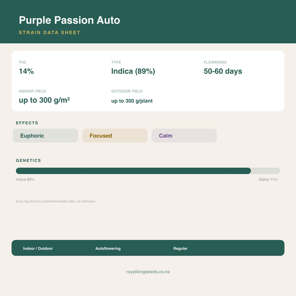 Purple Passion 89% indica / 11% sativa flower with visible trichomes