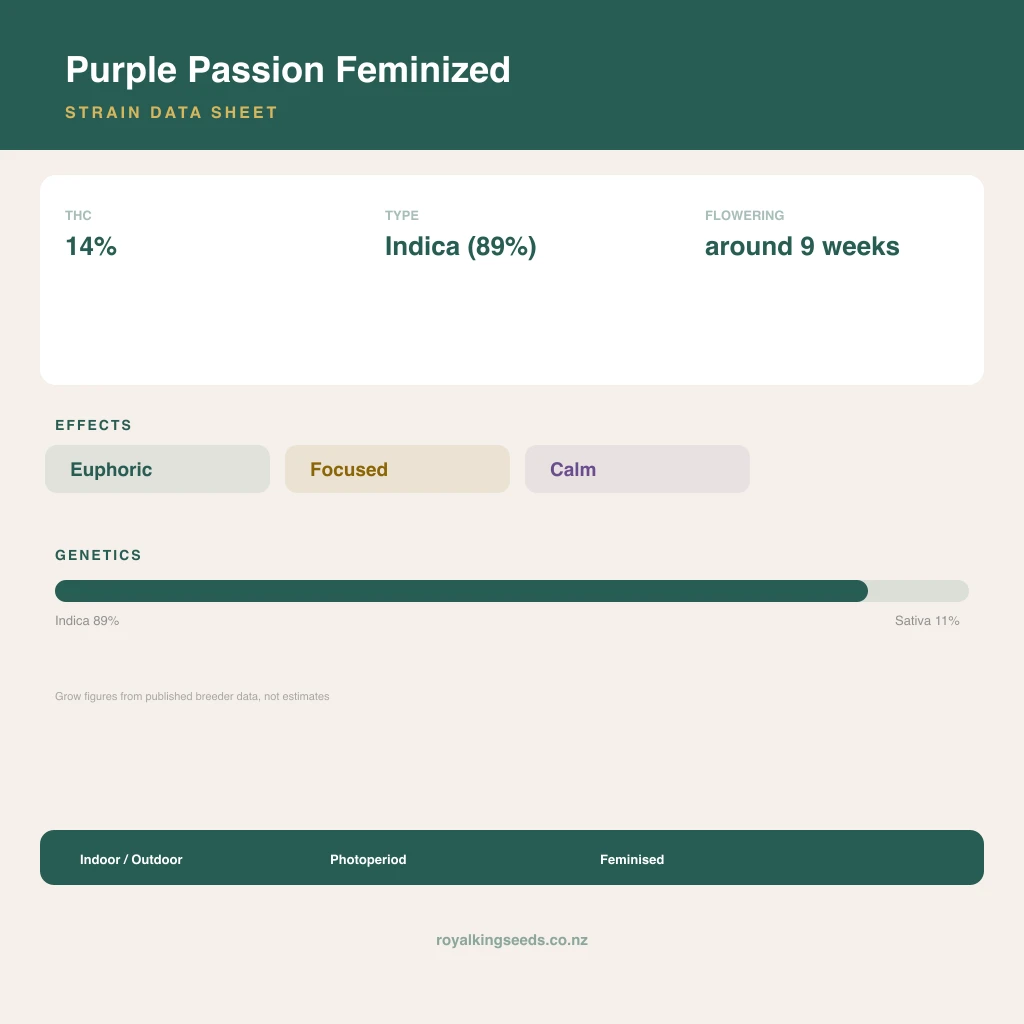 Purple Passion 89% indica / 11% sativa flower with visible trichomes