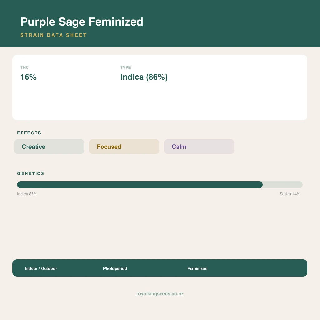 Purple Sage 86% indica / 14% sativa flower with visible trichomes
