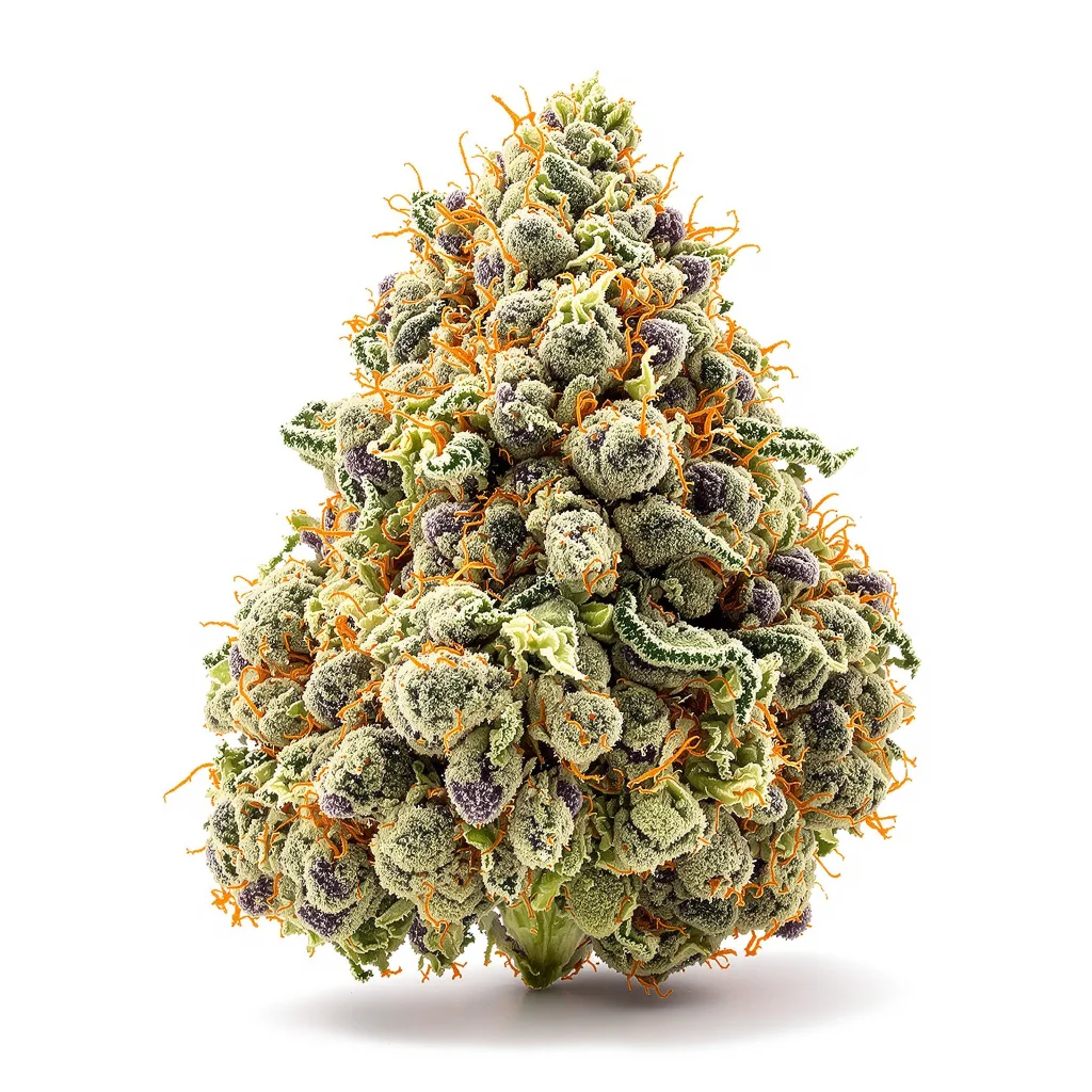 Purple Sour Diesel 30% indica / 60% sativa flower with visible trichomes
