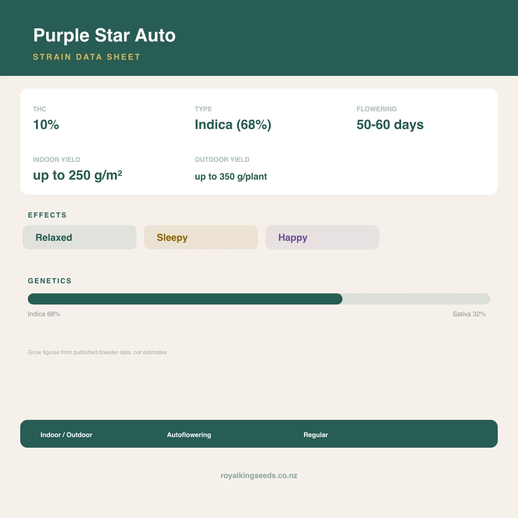 Purple Star 68% indica / 32% sativa flower with visible trichomes