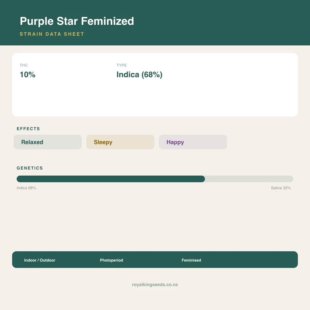 Purple Star 68% indica / 32% sativa flower with visible trichomes