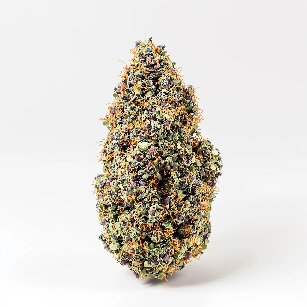Purple Star 68% indica / 32% sativa flower with visible trichomes