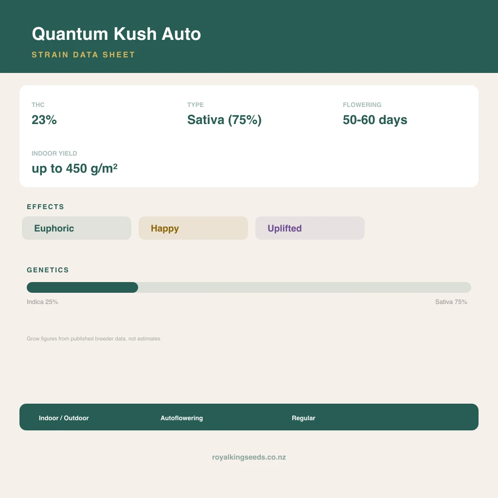 Quantum Kush 25% indica / 75% sativa flower with visible trichomes