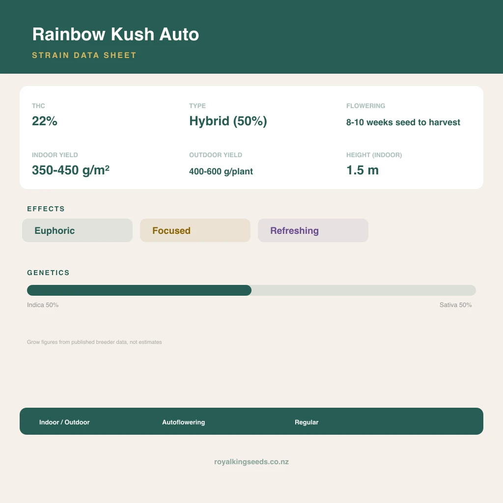Rainbow Kush 50% indica / 50% sativa flower with visible trichomes