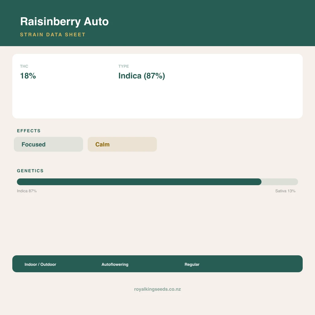 Raisinberry 87% indica / 13% sativa flower with visible trichomes