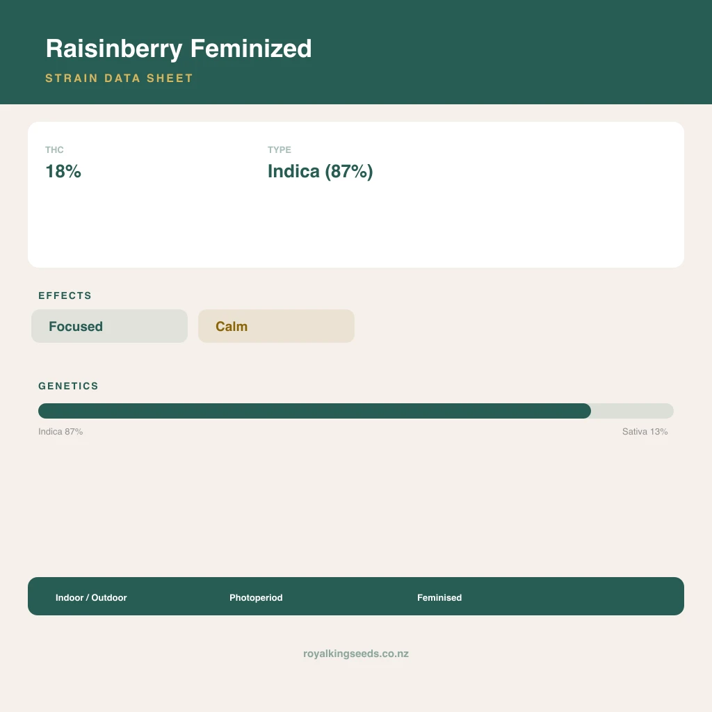 Raisinberry 87% indica / 13% sativa flower with visible trichomes