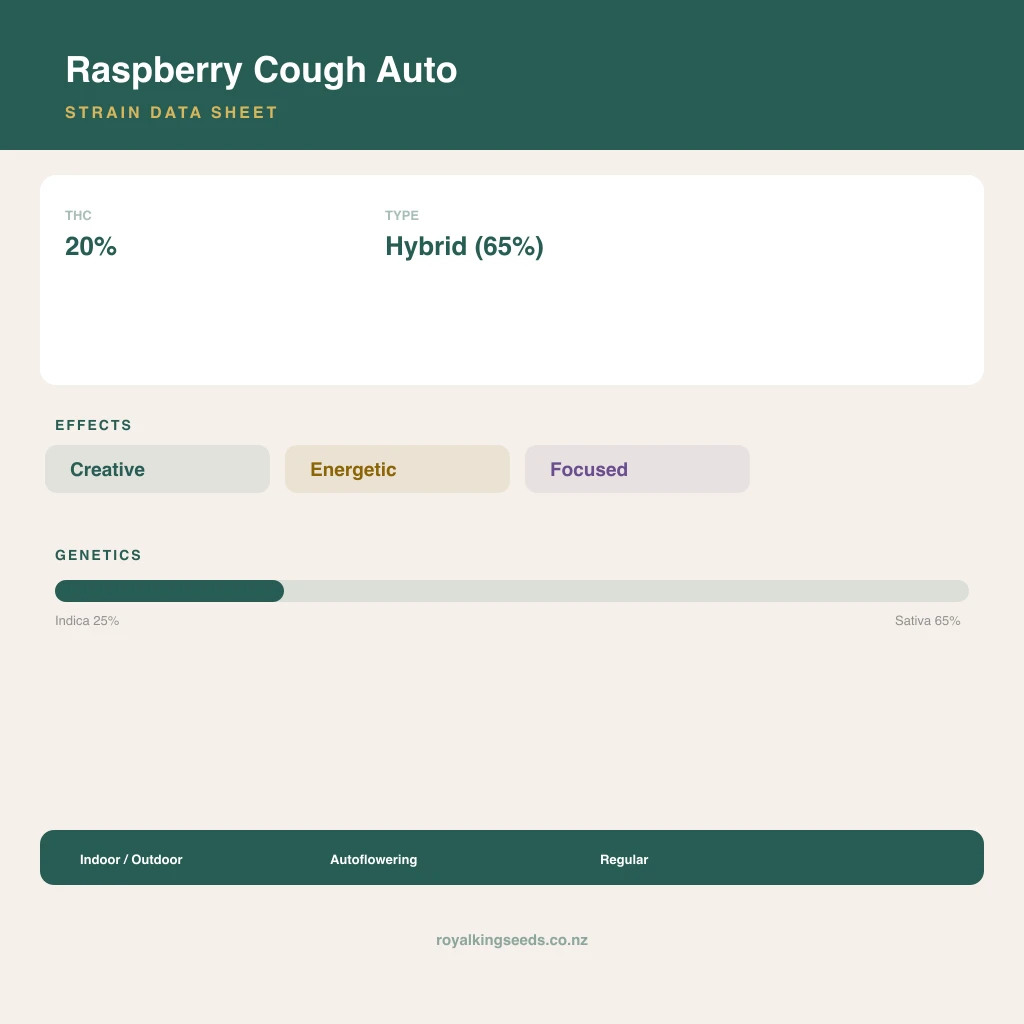 Raspberry Cough 25% indica / 65% sativa flower with visible trichomes