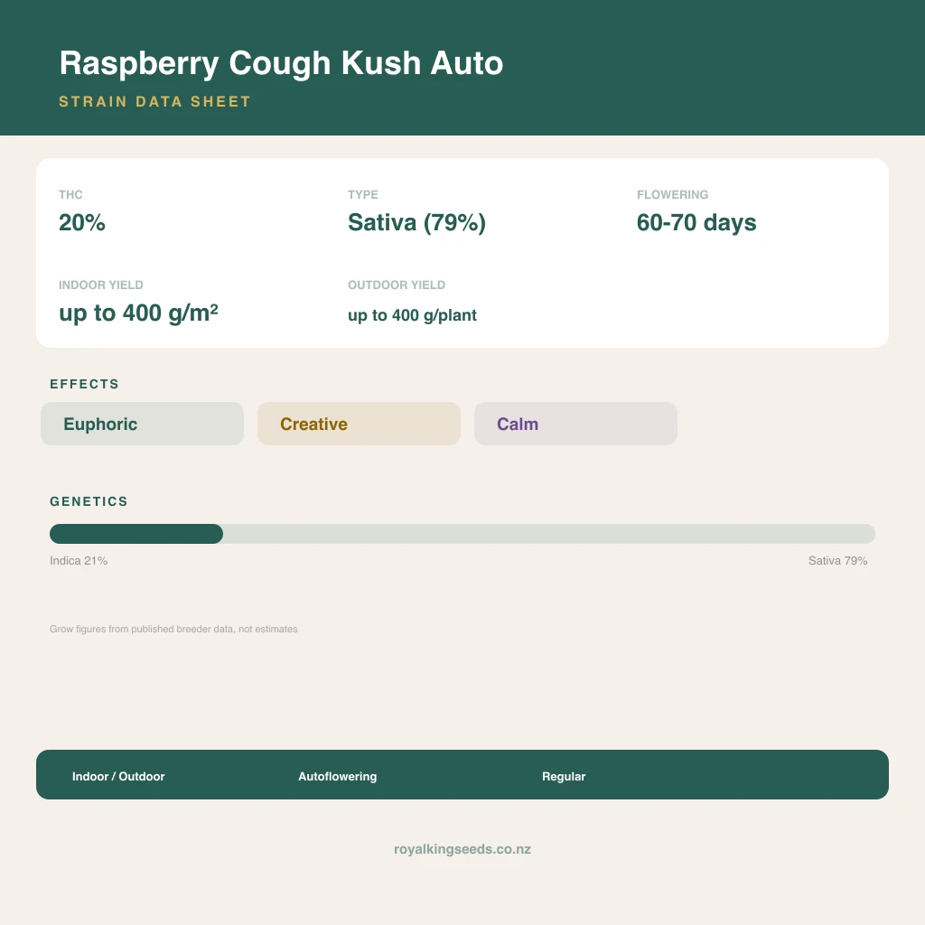 Raspberry Cough Kush 21% indica / 79% sativa flower with visible trichomes