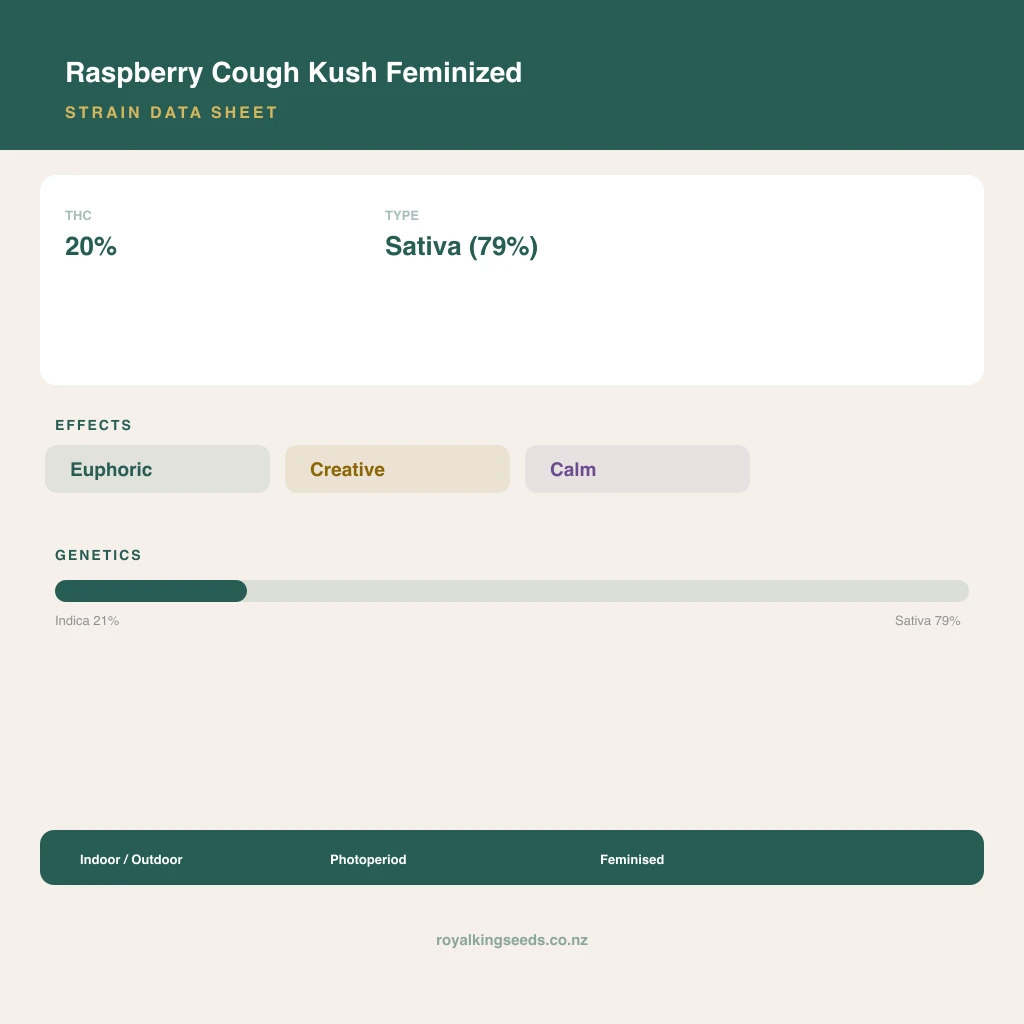 Raspberry Cough Kush 21% indica / 79% sativa flower with visible trichomes