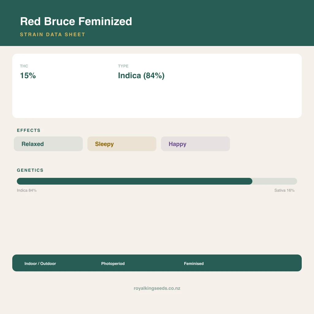 Red Bruce 84% indica / 16% sativa flower with visible trichomes
