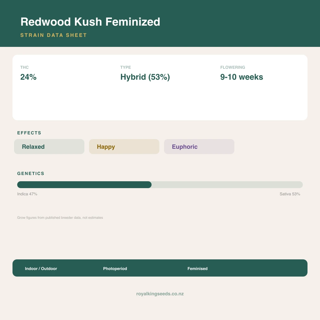 Redwood Kush 47% indica / 53% sativa flower with visible trichomes