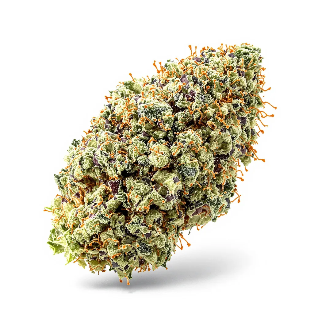 Reign Man 51% indica / 49% sativa flower with visible trichomes