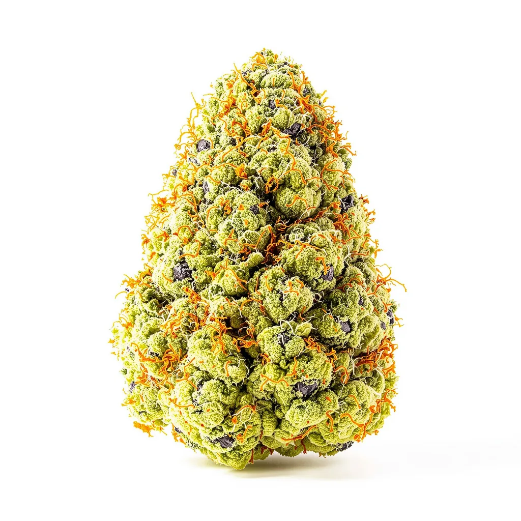 Ringos Gift CBD 50% indica / 50% sativa flower with visible trichomes
