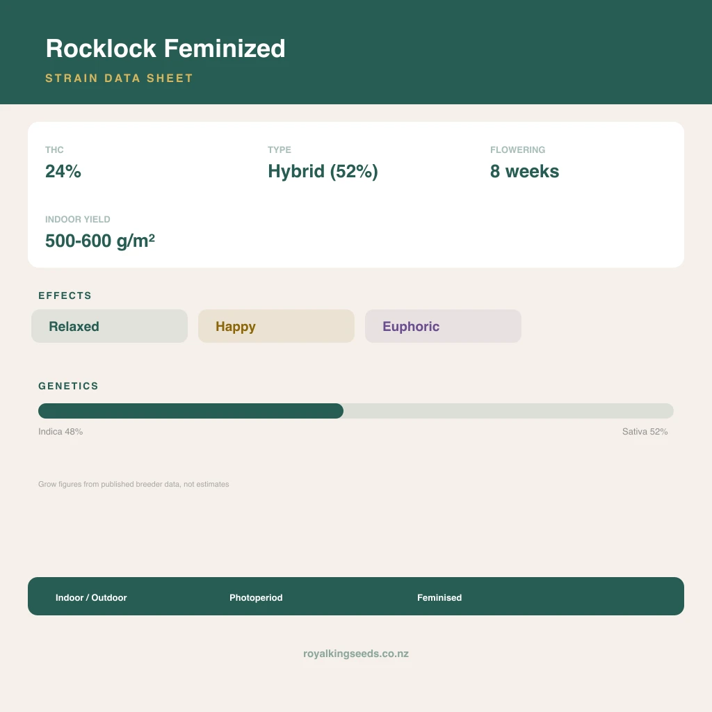 Rocklock 48% indica / 52% sativa flower with visible trichomes