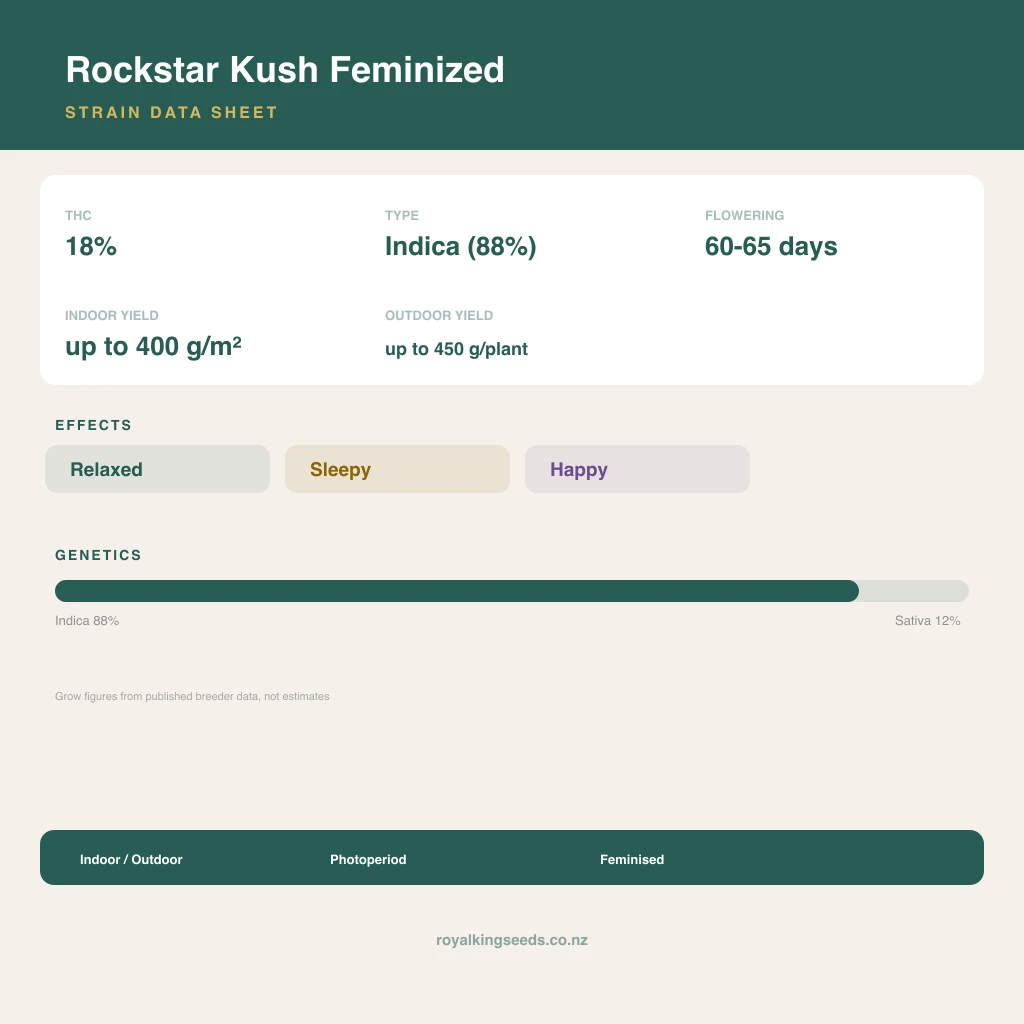 Rockstar Kush 88% indica / 12% sativa flower with visible trichomes