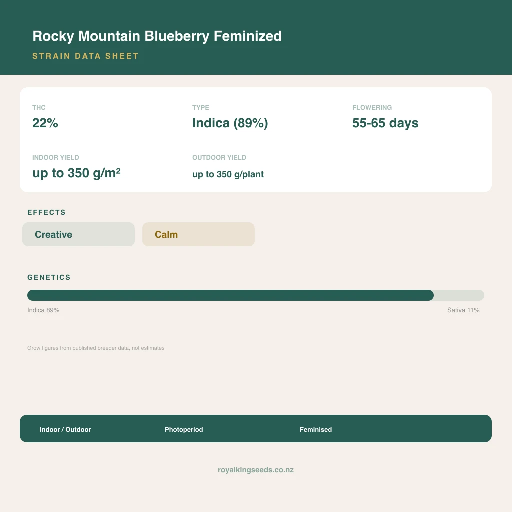 Rocky Mountain Blueberry 89% indica / 11% sativa flower with visible trichomes