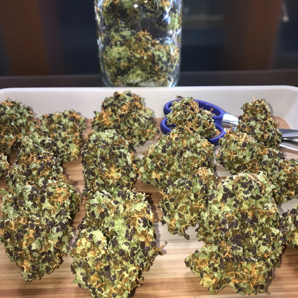 Romulan Haze 68% indica / 32% sativa flower with visible trichomes