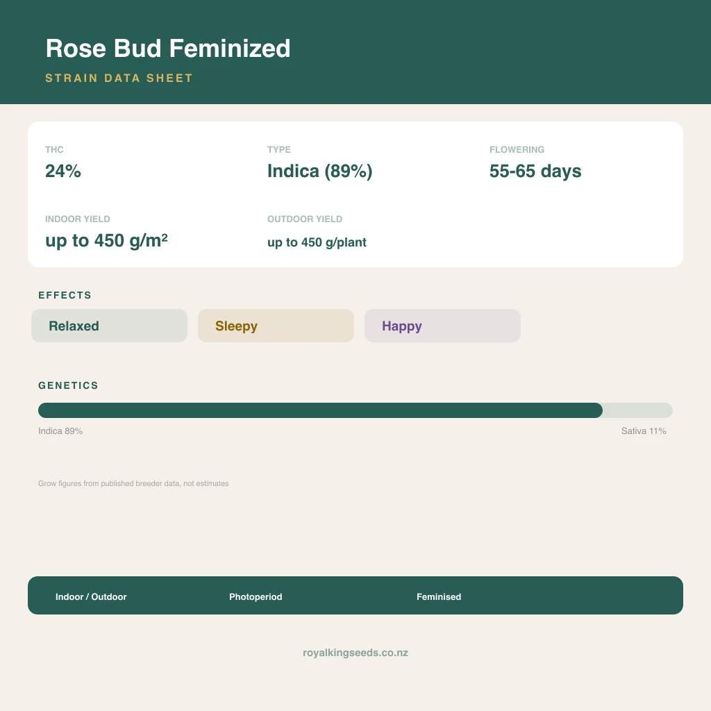 Rose Bud 89% indica / 11% sativa flower with visible trichomes