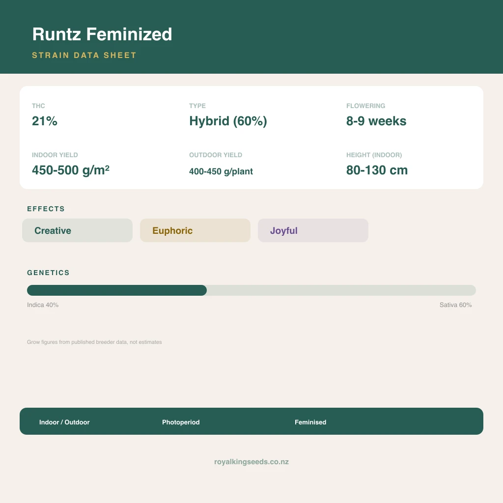 Runtz 40% indica / 60% sativa flower with visible trichomes