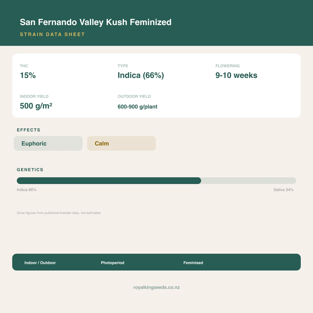 San Fernando Valley Kush 66% indica / 34% sativa flower with visible trichomes