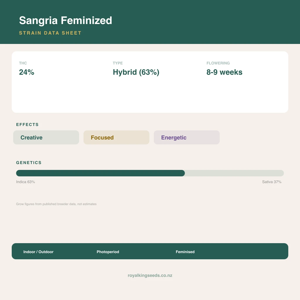 Sangria 63% indica / 37% sativa flower with visible trichomes