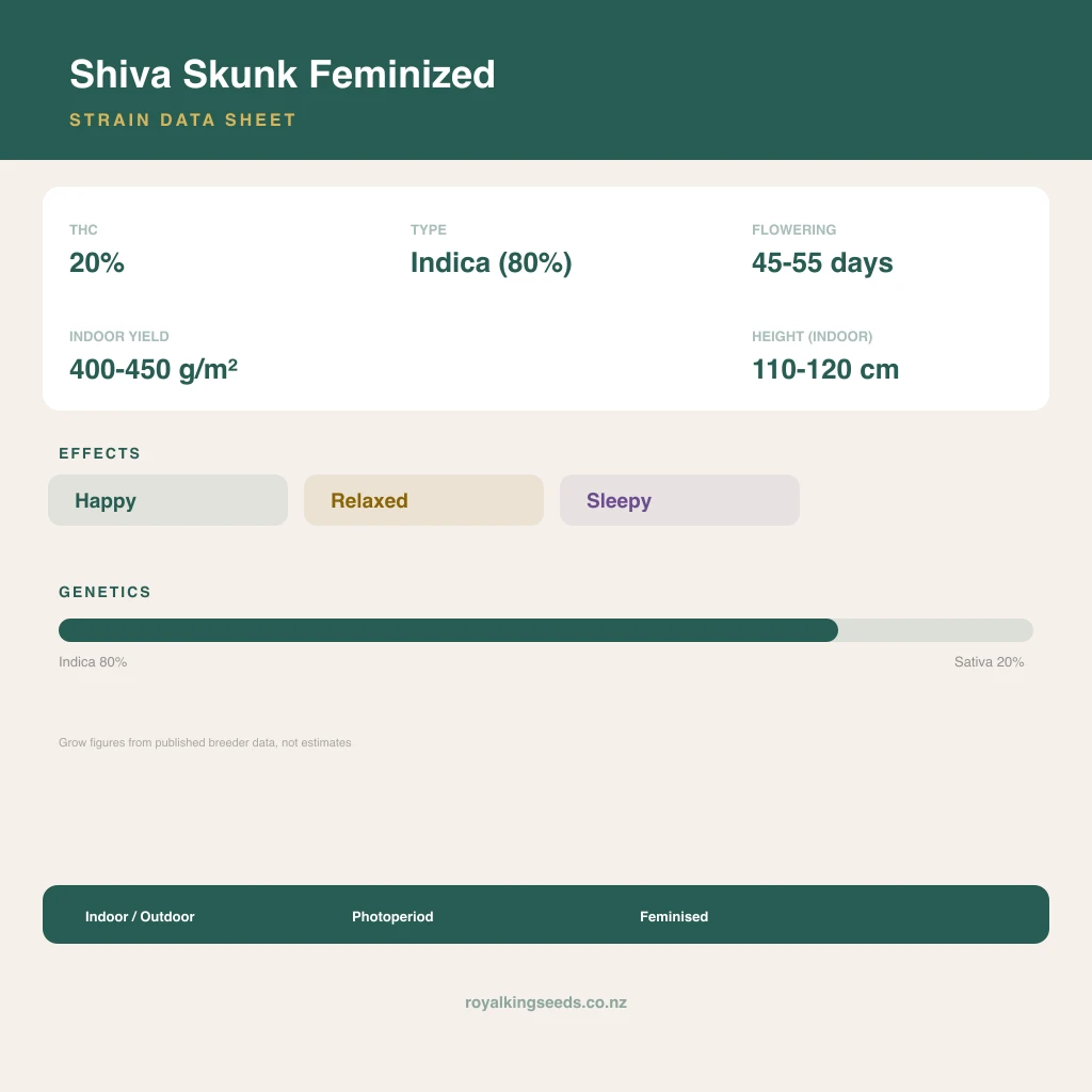Shiva Skunk 80% indica / 20% sativa flower with visible trichomes