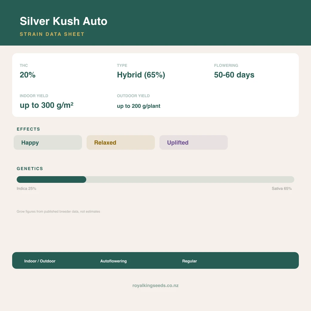 Silver Kush 25% indica / 65% sativa flower with visible trichomes