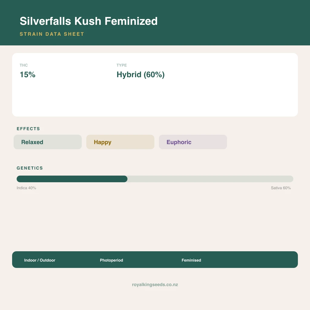 Silverfalls Kush 40% indica / 60% sativa flower with visible trichomes