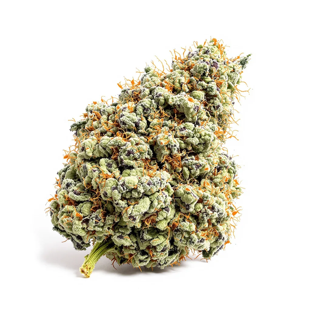 Snow Leopard 44% indica / 56% sativa flower with visible trichomes