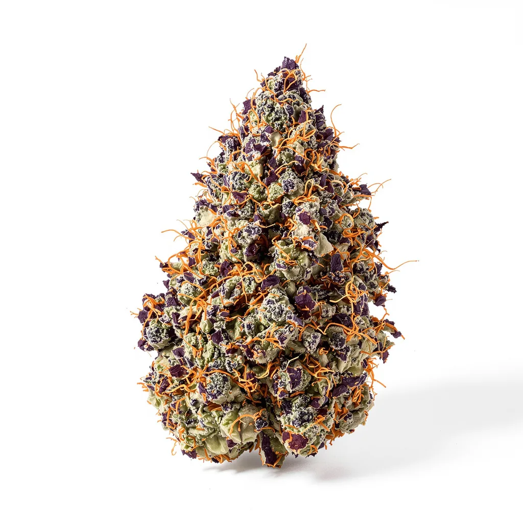 Sour Bubble 81% indica / 19% sativa flower with visible trichomes