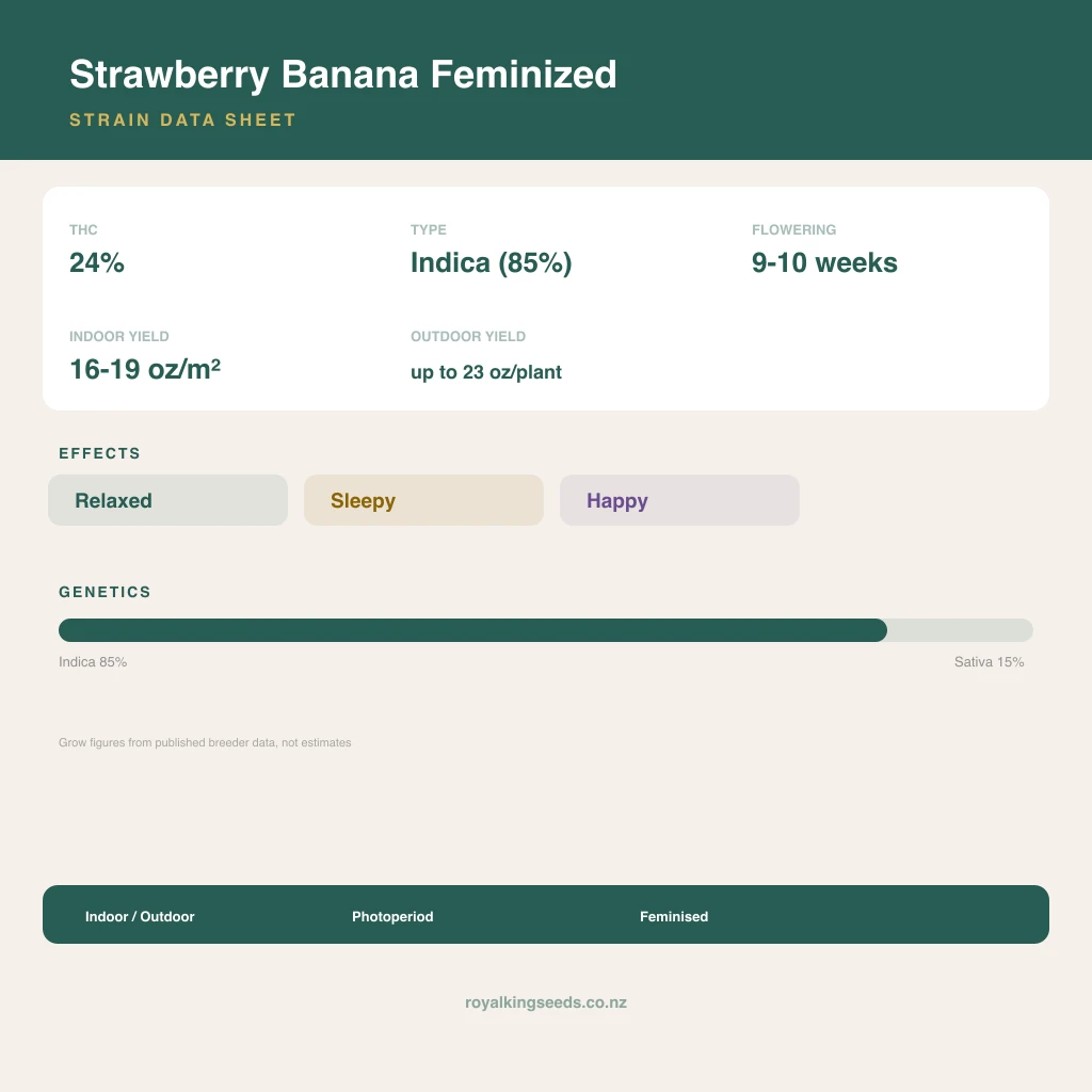 Strawberry Banana 85% indica / 15% sativa flower with visible trichomes