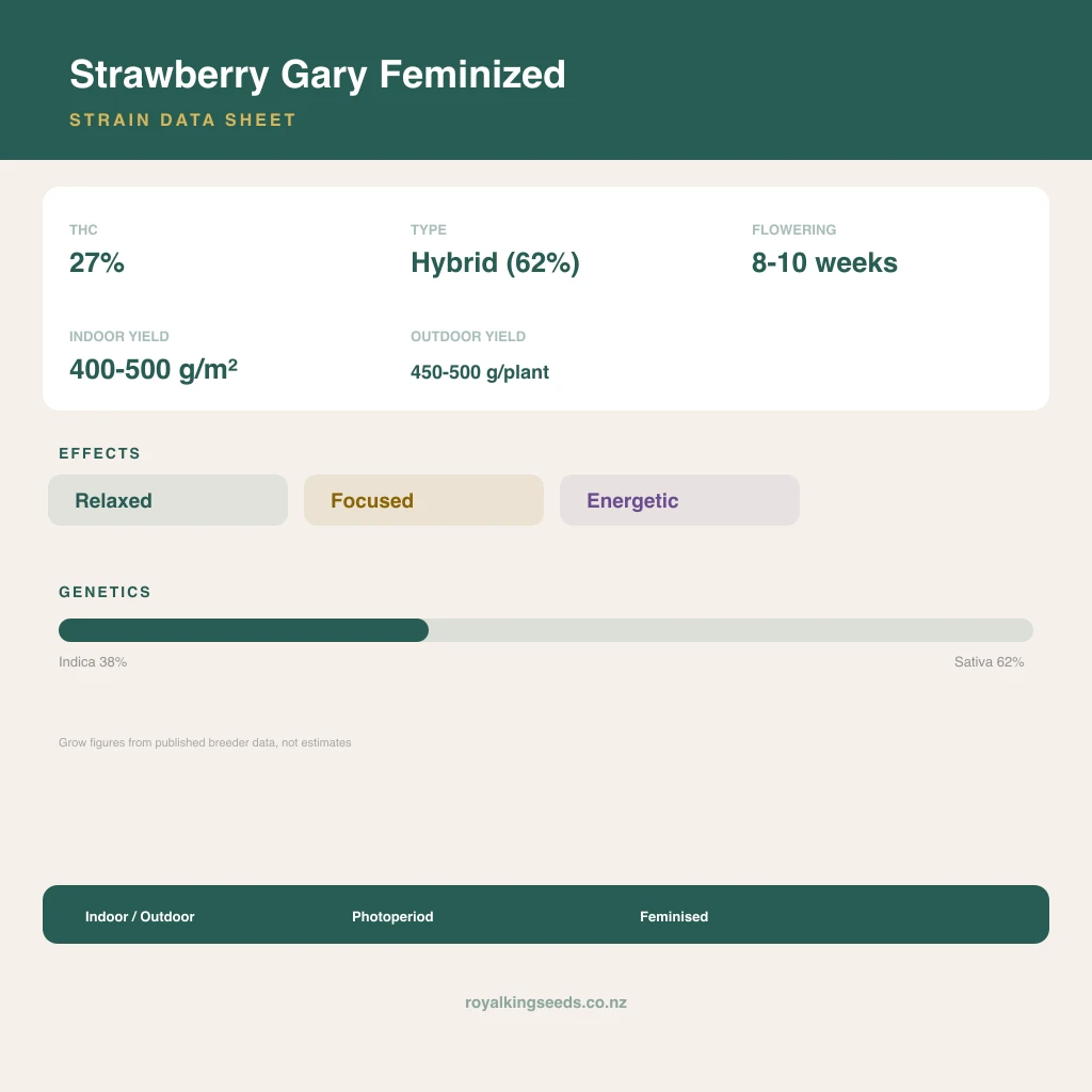 Strawberry Gary 38% indica / 62% sativa flower with visible trichomes