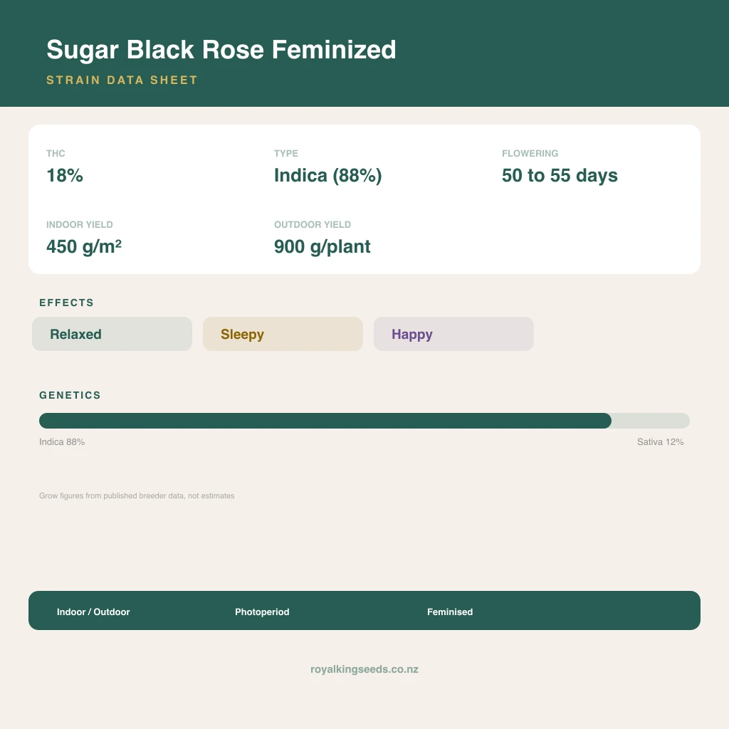 Sugar Black Rose 88% indica / 12% sativa flower with visible trichomes
