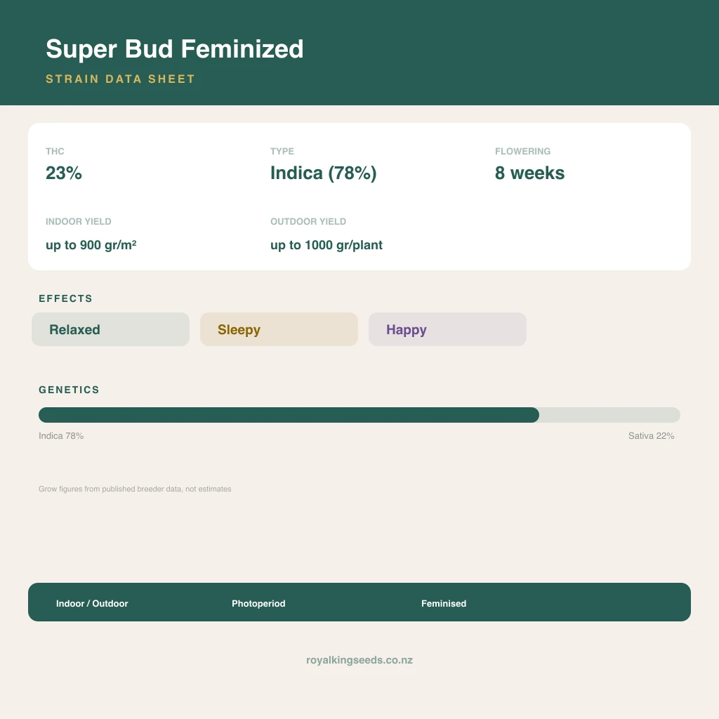 Super Bud 78% indica / 22% sativa flower with visible trichomes
