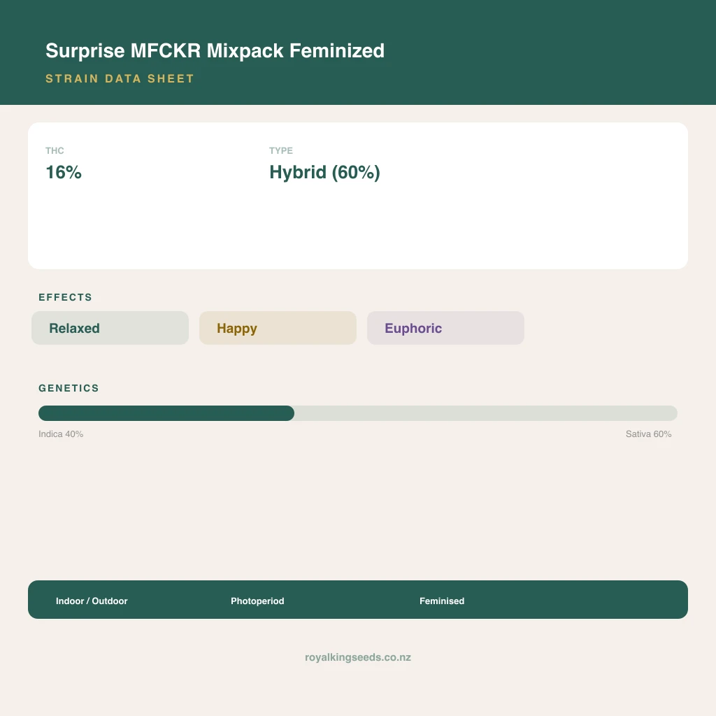 Surprise MFCKR Mixpack 40% indica / 60% sativa flower with visible trichomes