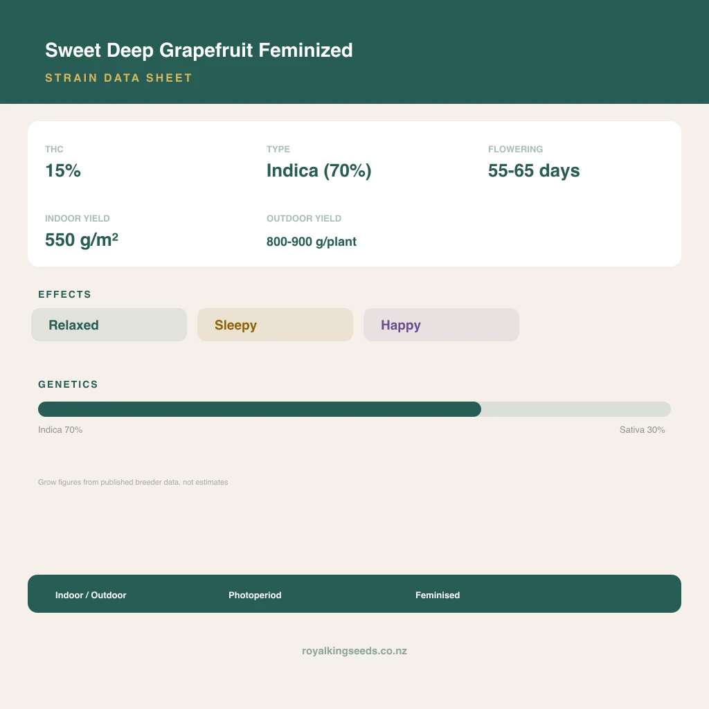 Sweet Deep Grapefruit 70% indica / 30% sativa flower with visible trichomes