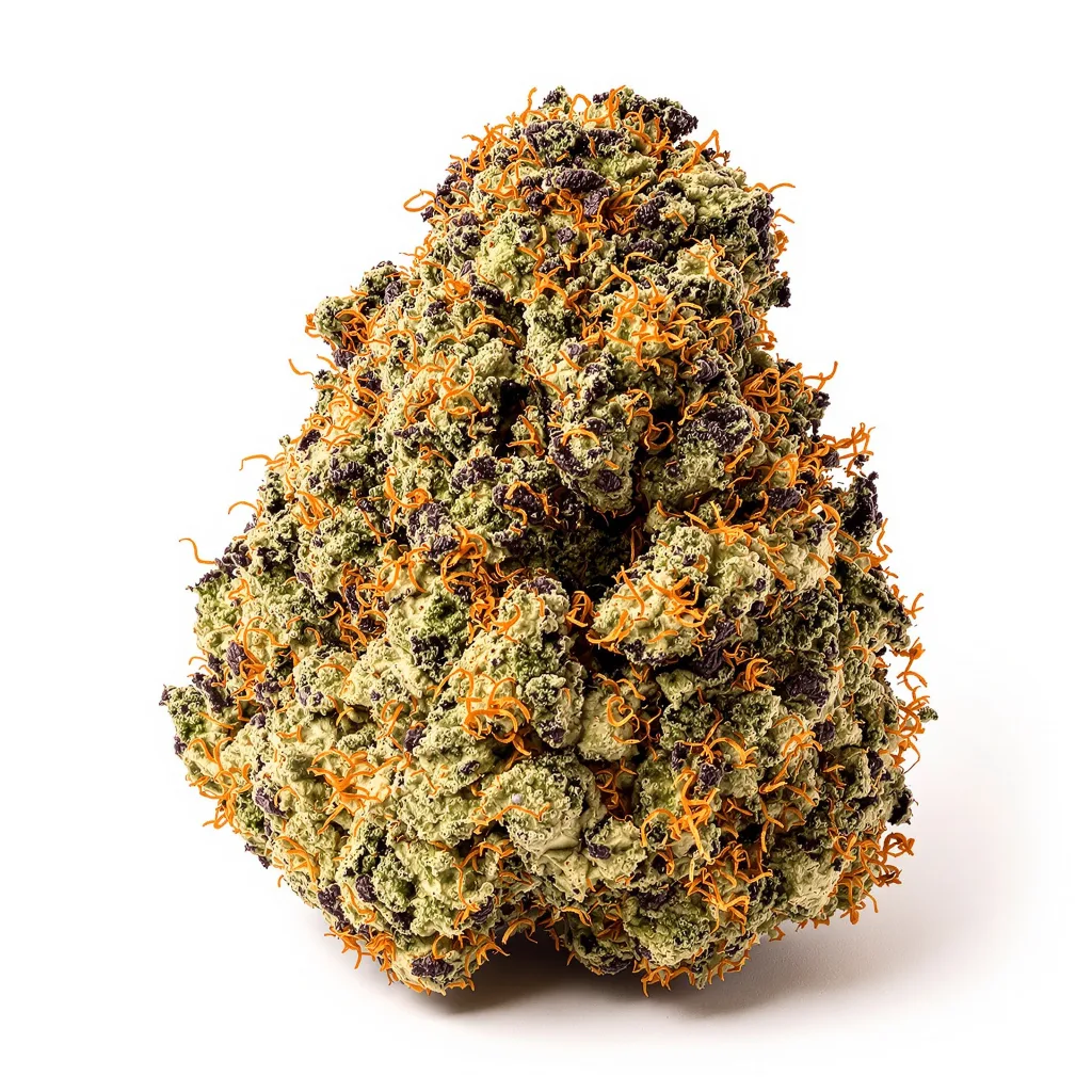 Swiss 72% indica / 28% sativa flower with visible trichomes