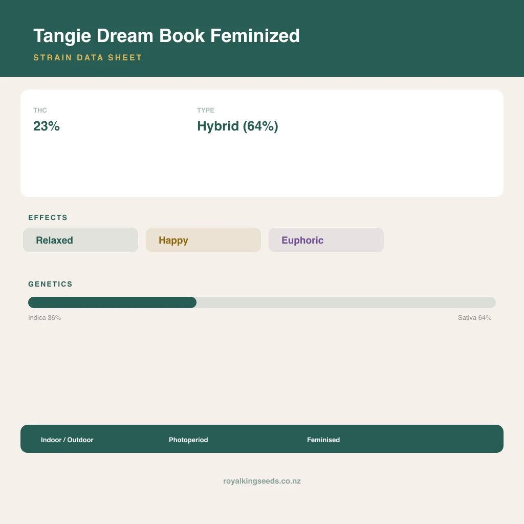 Tangie Dream Book 36% indica / 64% sativa flower with visible trichomes