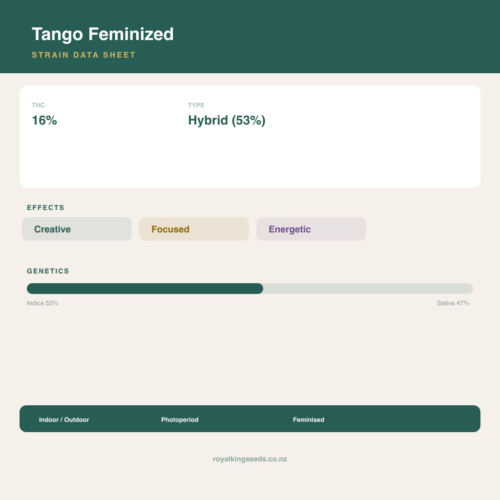 Tango 53% indica / 47% sativa flower with visible trichomes