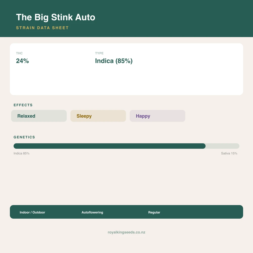 The Big Stink 85% indica / 15% sativa flower with visible trichomes